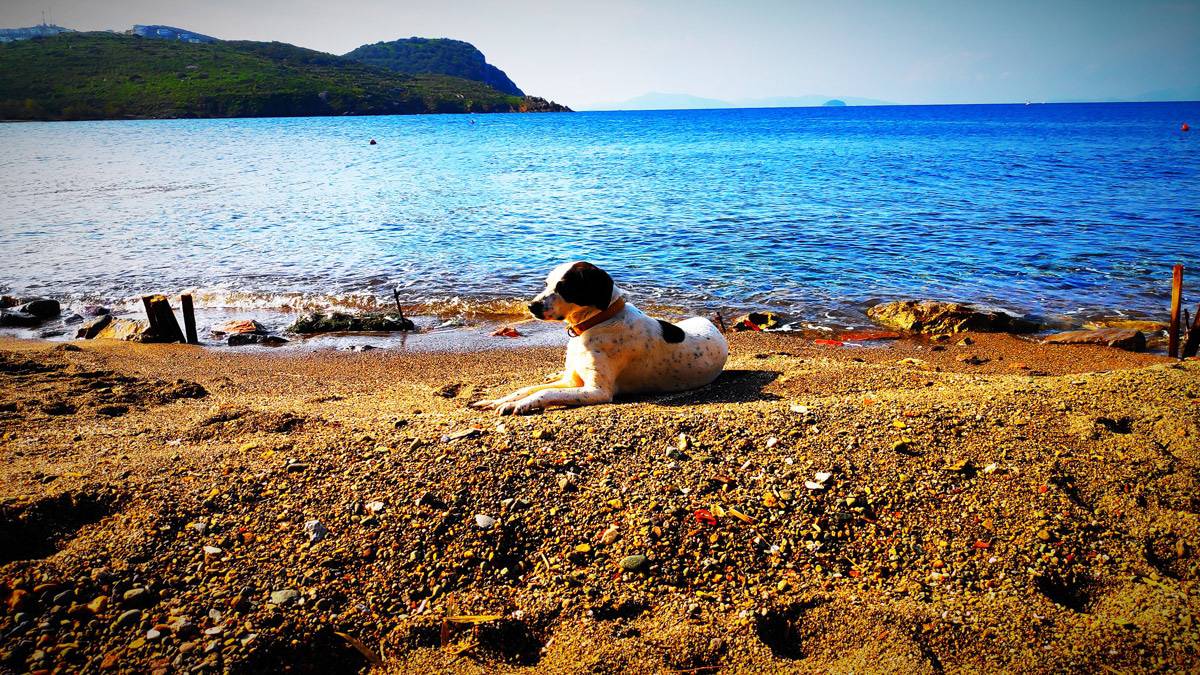 Bodrum Public Beaches