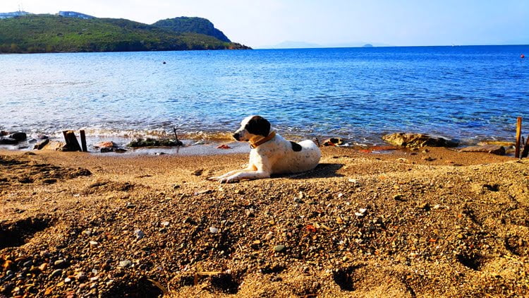 Bodrum Gumusluk Beach