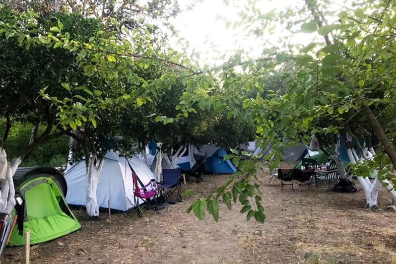 Bodrum Masalı Camping